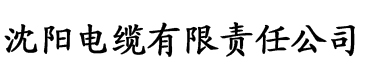 91香蕉视頻电缆厂logo